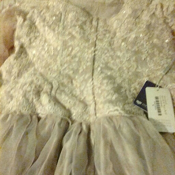 Champaign lace and toile plus size wedding dress - Picture 5 of 8